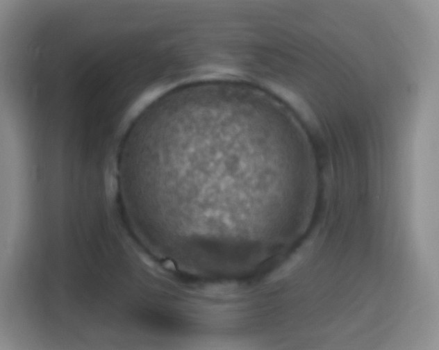 X0000114421363200910231158
