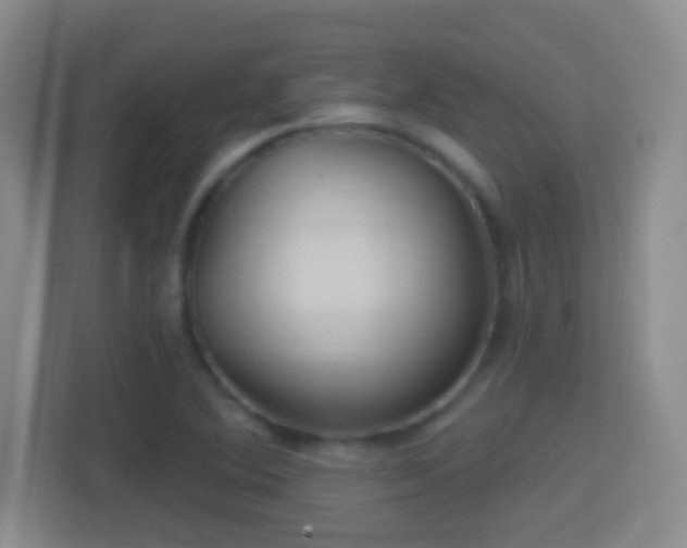 X0000114421364200910231158