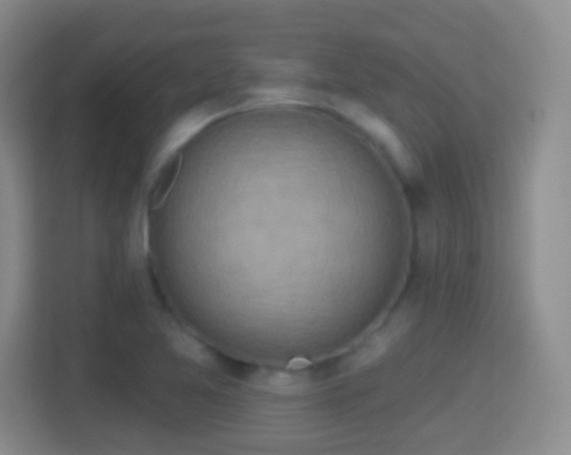 X0000114421365200910231158