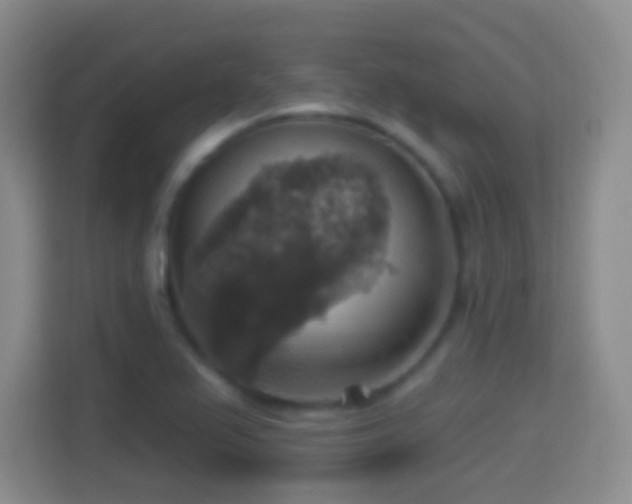 X0000114421367200910231158