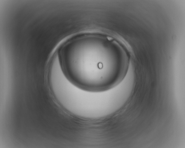 X0000114421368200910231158