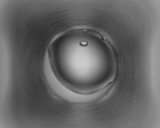 X0000114421369200910231158