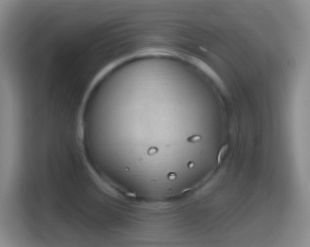 X0000114421372200910231158