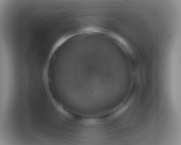 X0000114421373200910231157