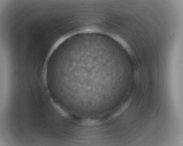 X0000114421374200910231157