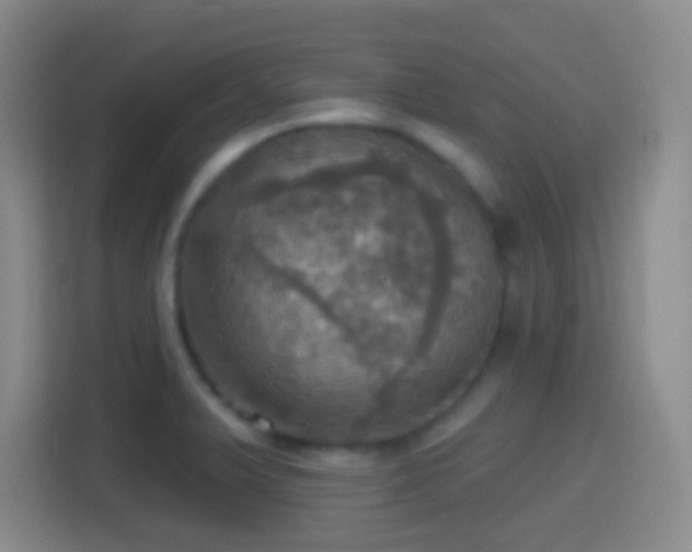 X0000114421375200910231157