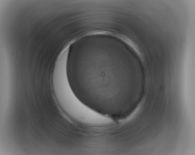 X0000114421377200910231157