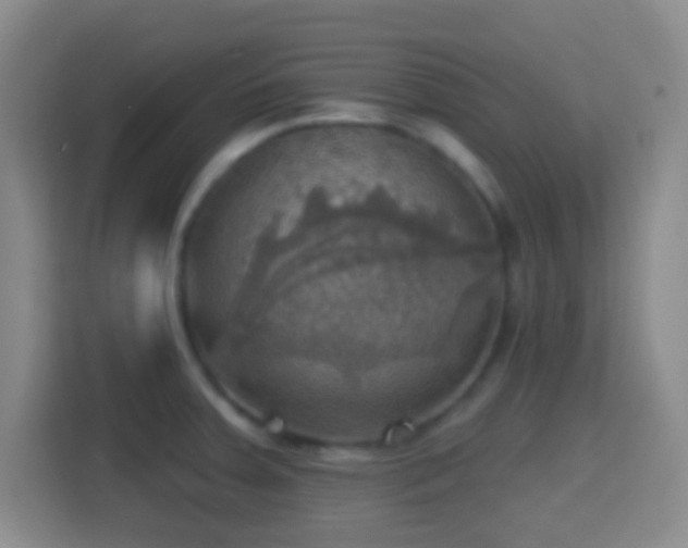 X0000114421379200910231157