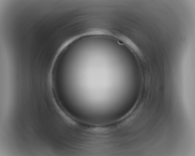 X0000114421380200910231157