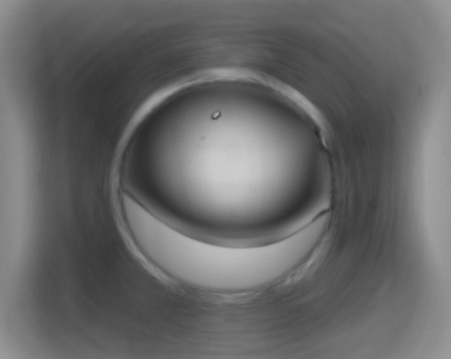 X0000114421381200910231157