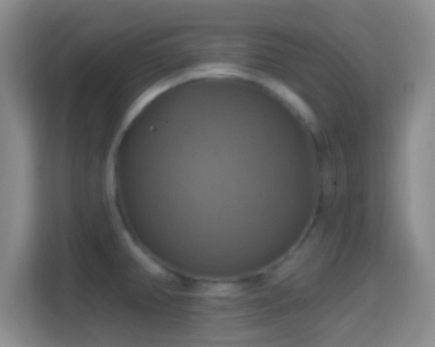 X0000114421382200910231157