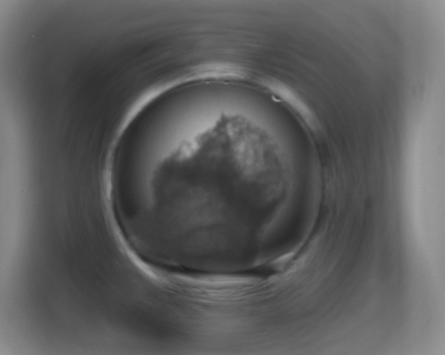 X0000114421383200910231157