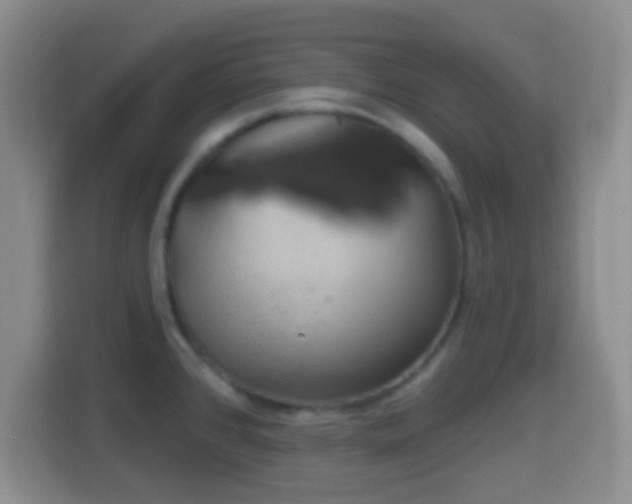 X0000114421384200910231157