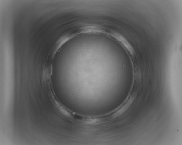 X0000114421385200910231157