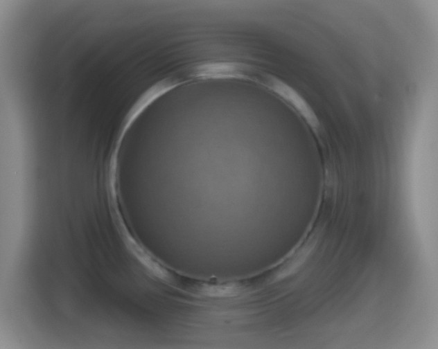 X0000114421386200910231157