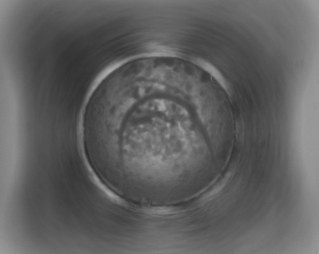 X0000114421387200910231157
