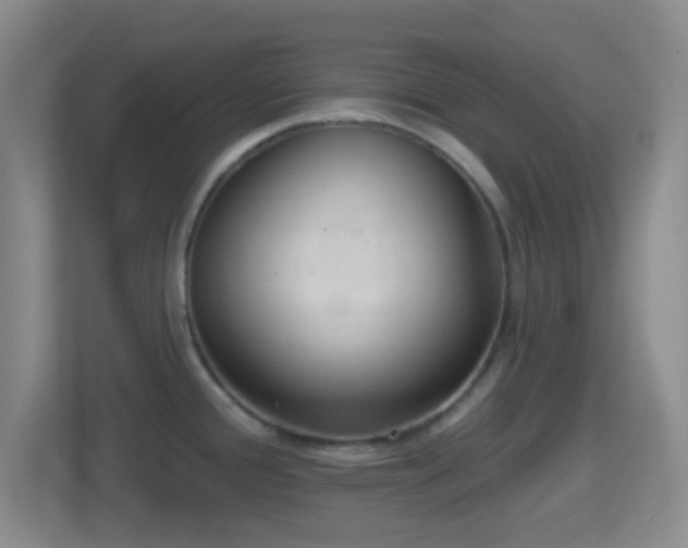 X0000114421388200910231157