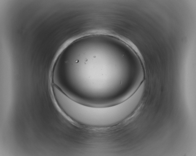 X0000114421389200910231157