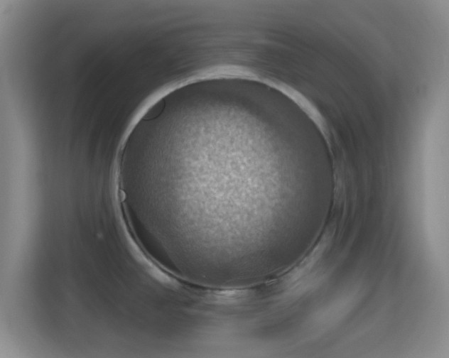 X0000114421390200910231157
