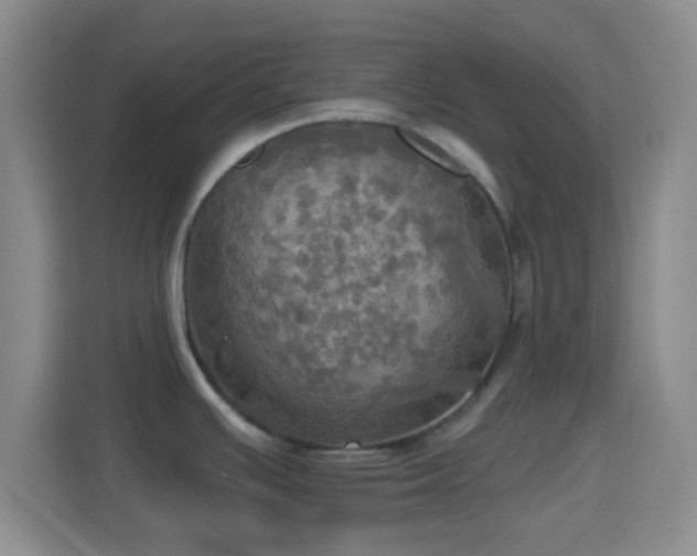 X0000114421391200910231157