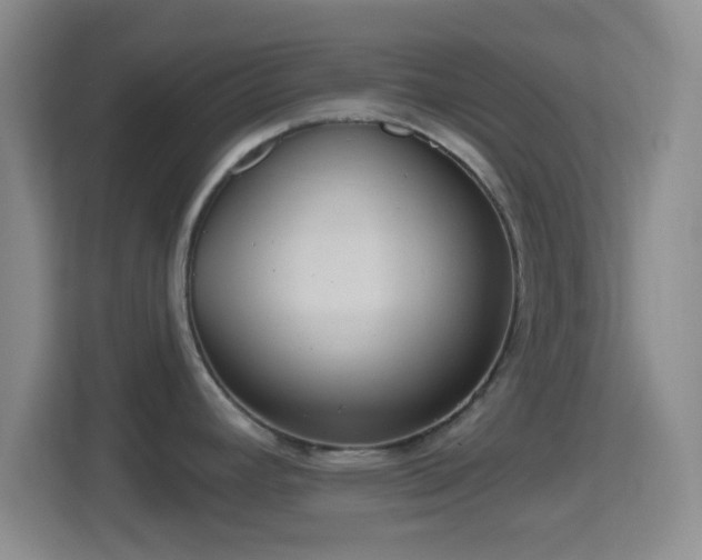X0000114421392200910231157