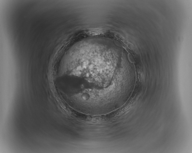 X0000114421393200910231157