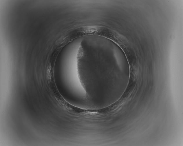 X0000114421394200910231157