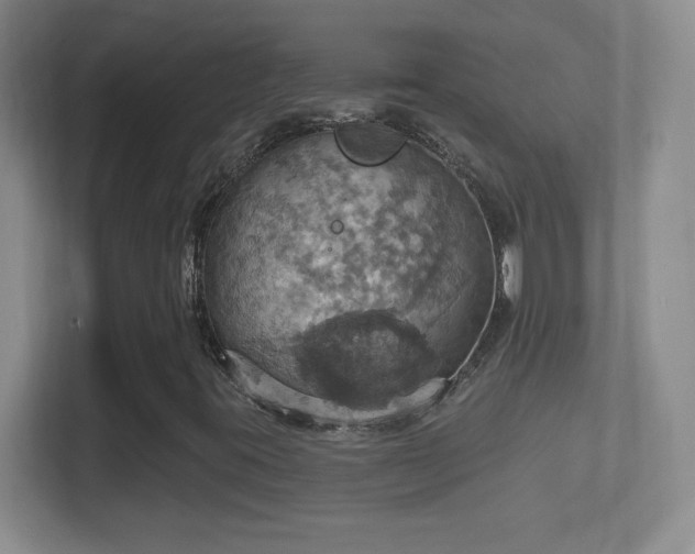 X0000114421395200910231157