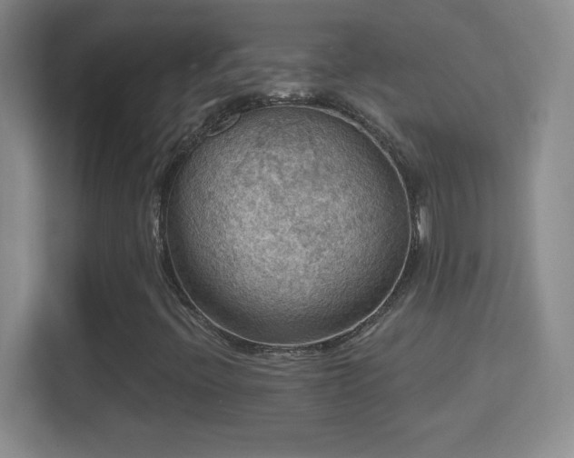 X0000114421396200910231157