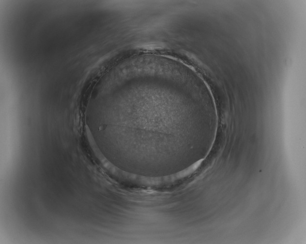 X0000114421398200910231157