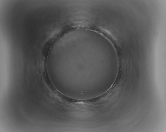 X0000114421399200910231157