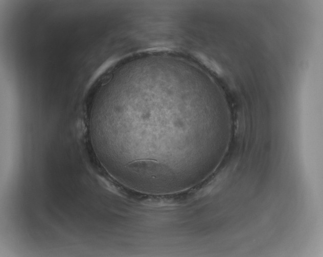 X0000114421400200910231157