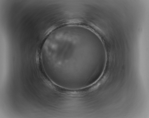 X0000114421401200910231157