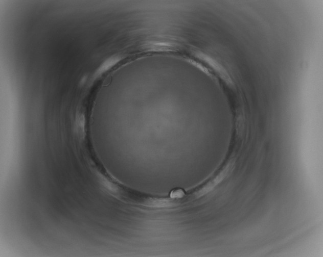 X0000114421402200910231157