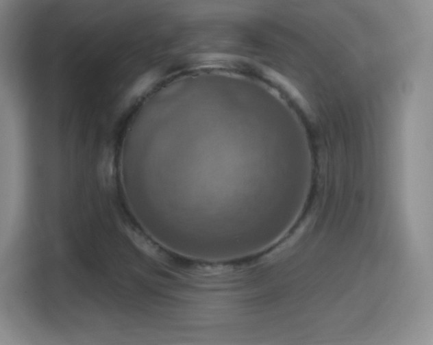 X0000114421403200910231157