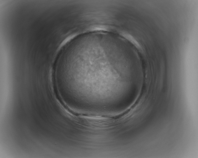 X0000114421404200910231157