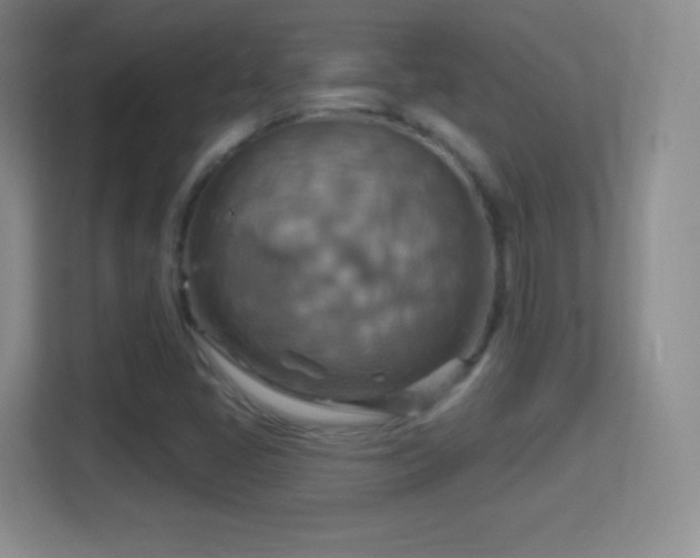 X0000114421405200910231157