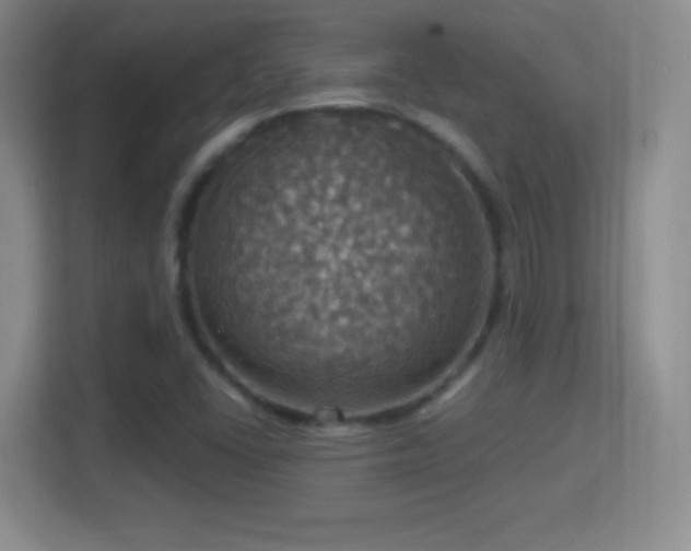 X0000114421406200910231157