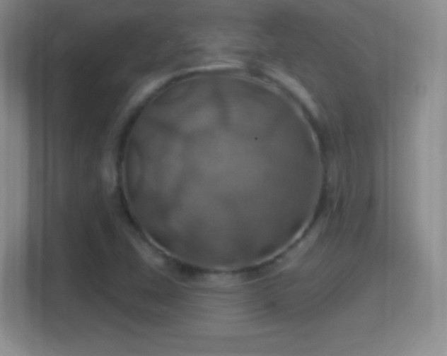 X0000114421407200910231157