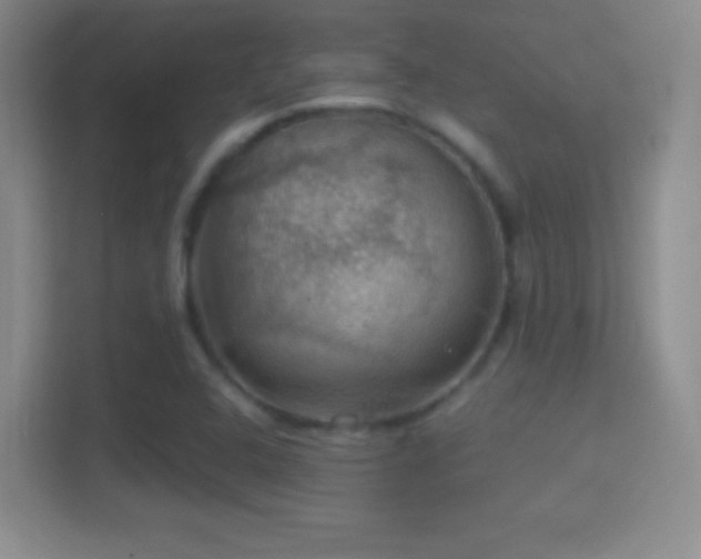 X0000114421408200910231157