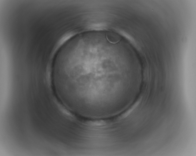 X0000114421410200910231157