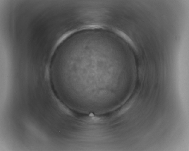 X0000114421412200910231157