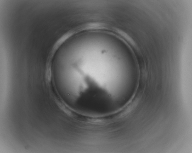 X0000114421413200910231157