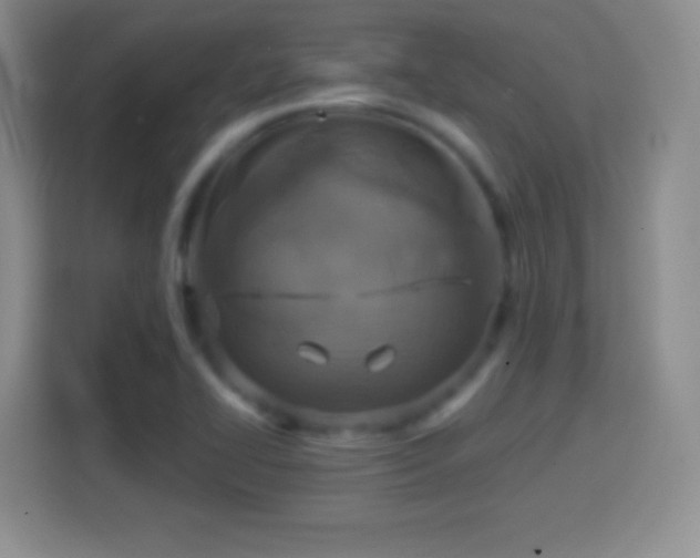 X0000114421414200910231157