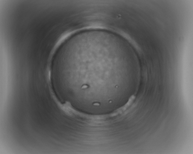 X0000114421416200910231157