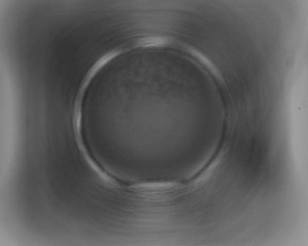 X0000114421418200910231157