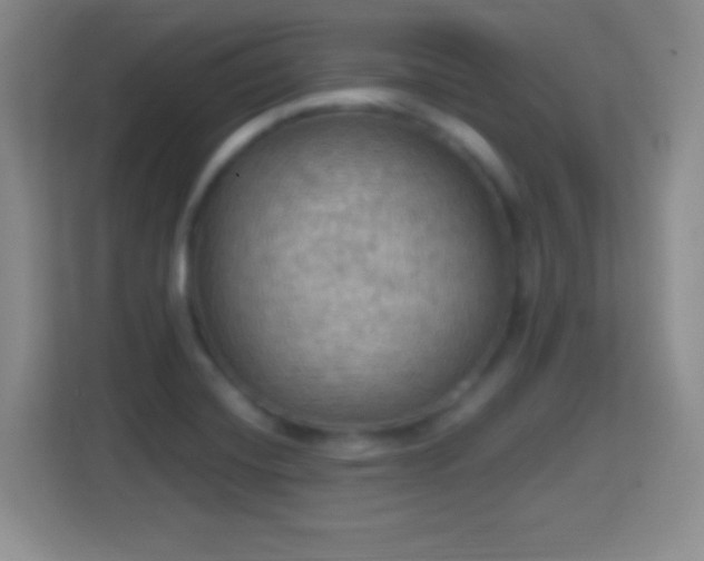 X0000114421420200910231157