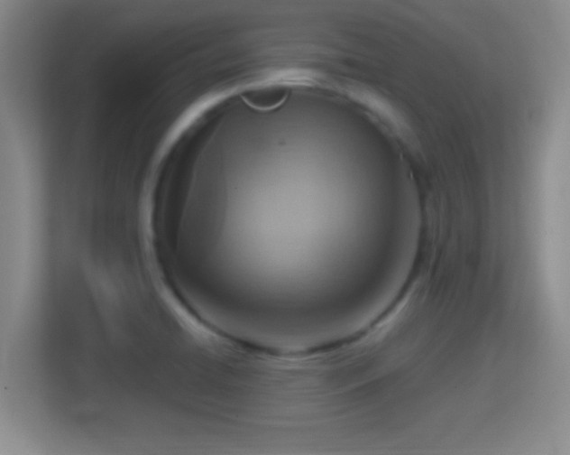 X0000114421422200910231157