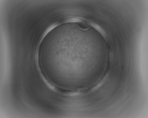 X0000114421426200910231157