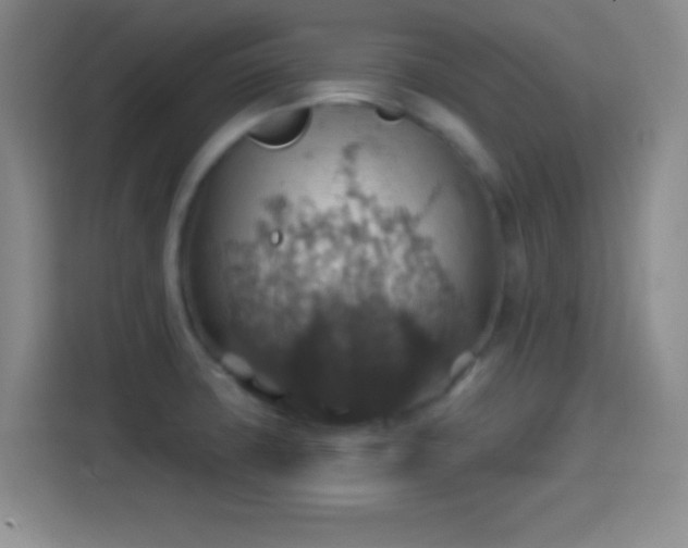 X0000114421427200910231157